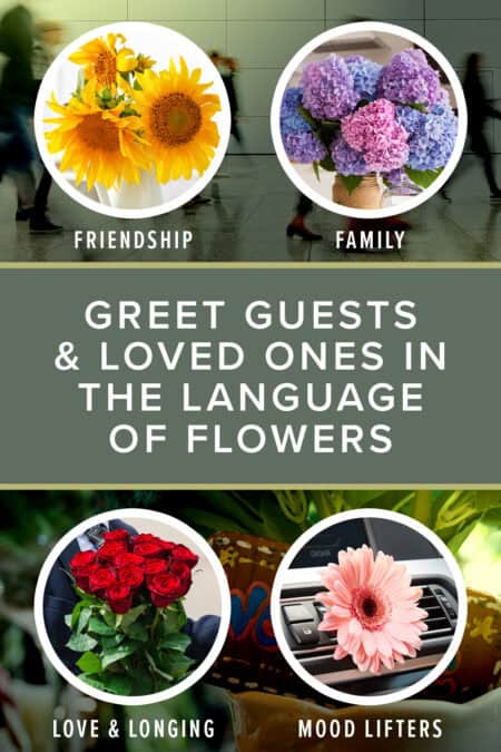 greet guests and loved ones in the language of flowers