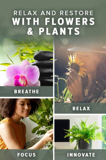 relax and restore with flowers and plants